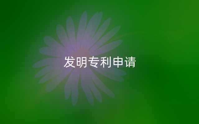 发明专利申请