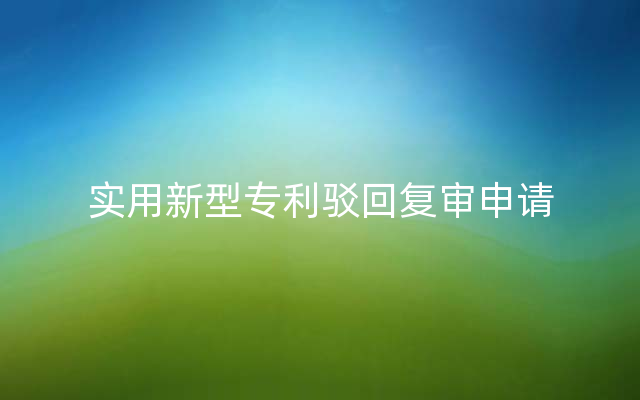 实用新型专利驳回复审申请