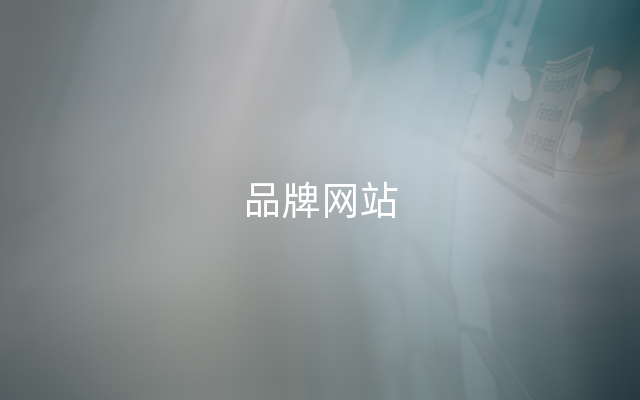 品牌网站