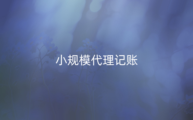 小规模代理记账
