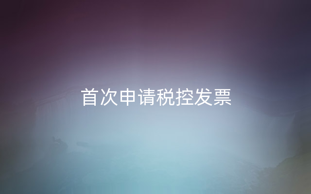 首次申请税控发票