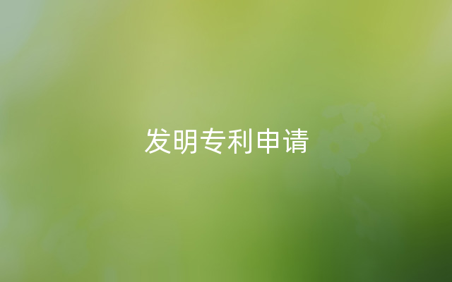 发明专利申请