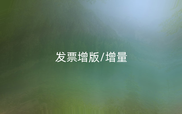 发票增版/增量