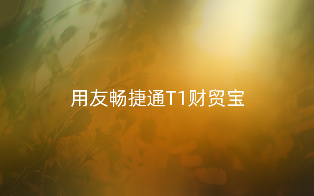 用友畅捷通T1财贸宝