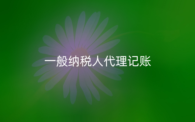 一般纳税人代理记账