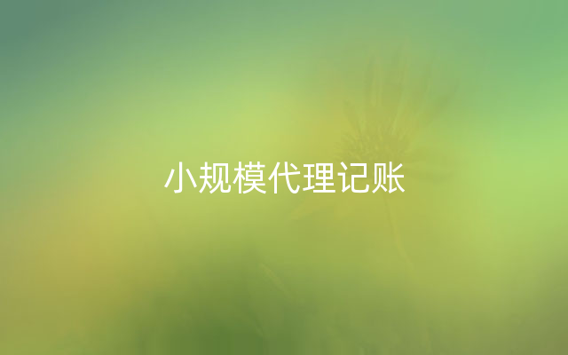 小规模代理记账